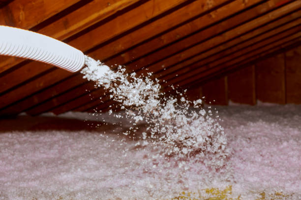 Best Insulation Maintenance and Repair in Fruitville, FL