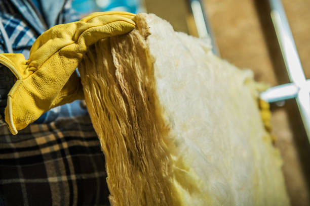 Best Insulation for Specific Applications in Fruitville, FL
