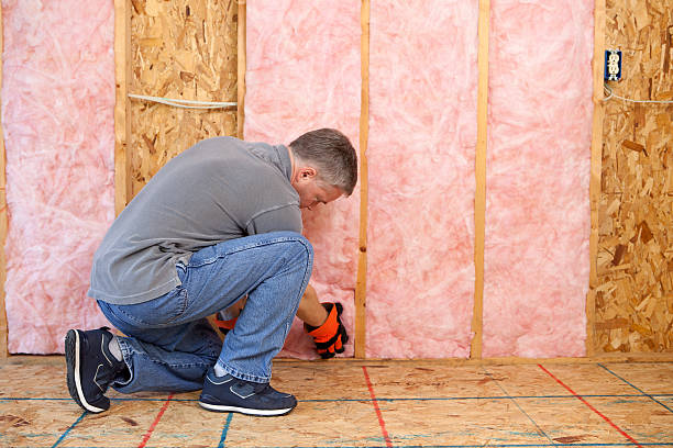 Best Types of Insulation in Fruitville, FL